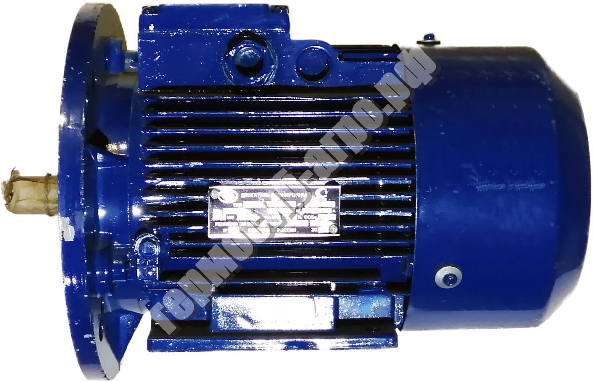 Двигатель 22*1000фл. (к НЖН)